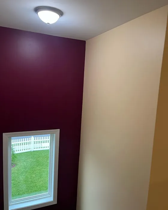 Sherwin Williams SW 6293 accent wall review
