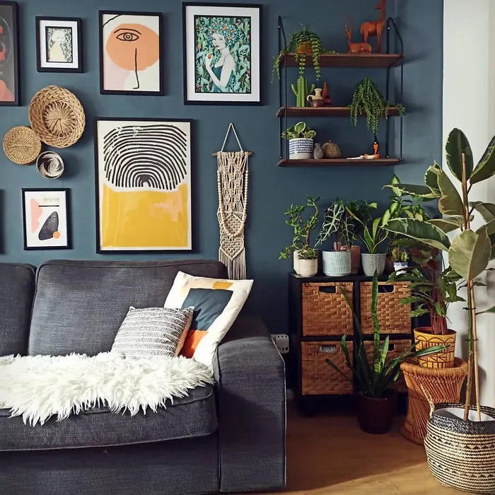 Dulux Faded Indigo living room accent wall