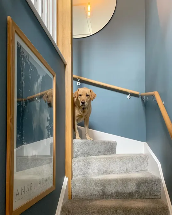 Dulux Faded Indigo hallway review