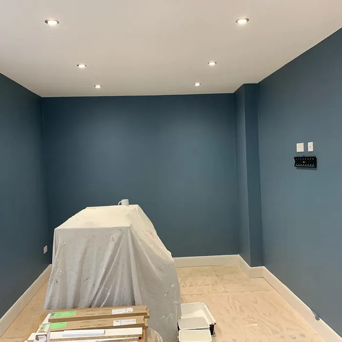 Dulux 90BG 17/090 wall paint 