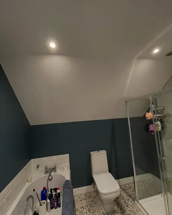 Faded Indigo bathroom color