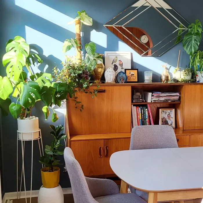 Dulux Faded Indigo dining room color