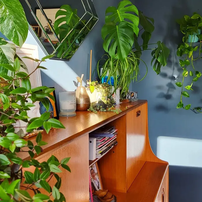 Dulux Faded Indigo dining room color review