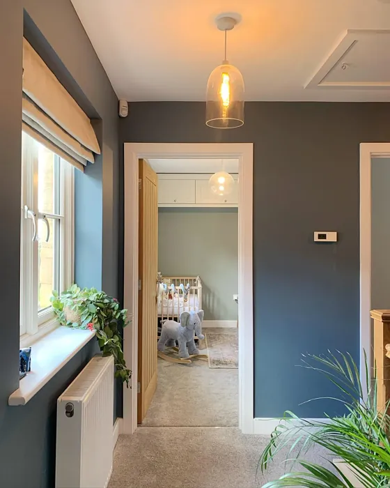 Dulux Faded Indigo hallway color review