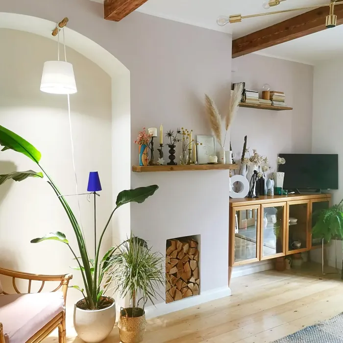 Dulux Faded Petal living room color