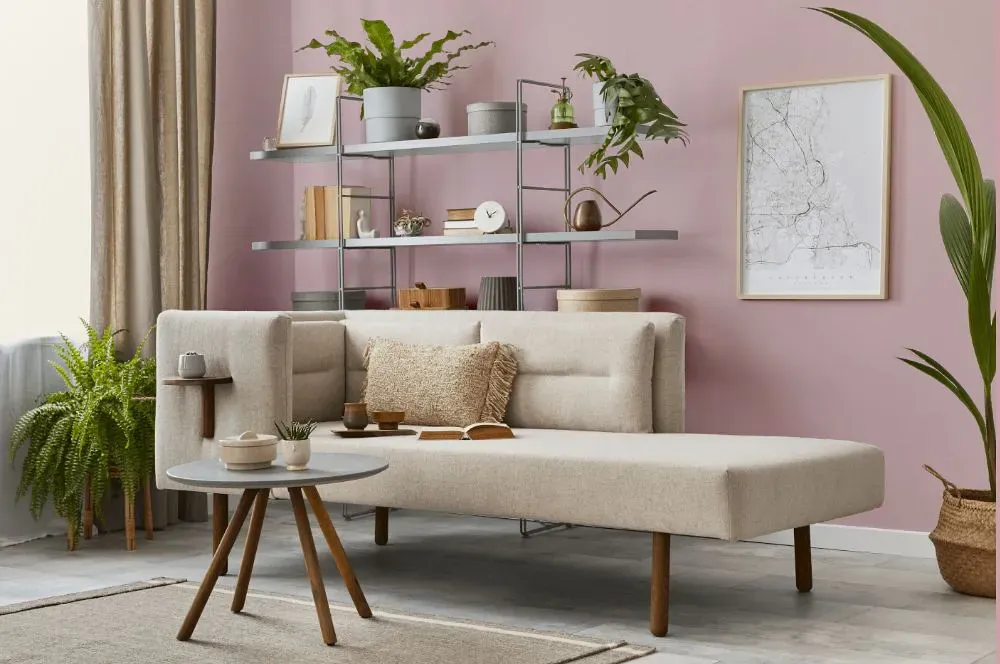 Sherwin Williams Fading Rose living room