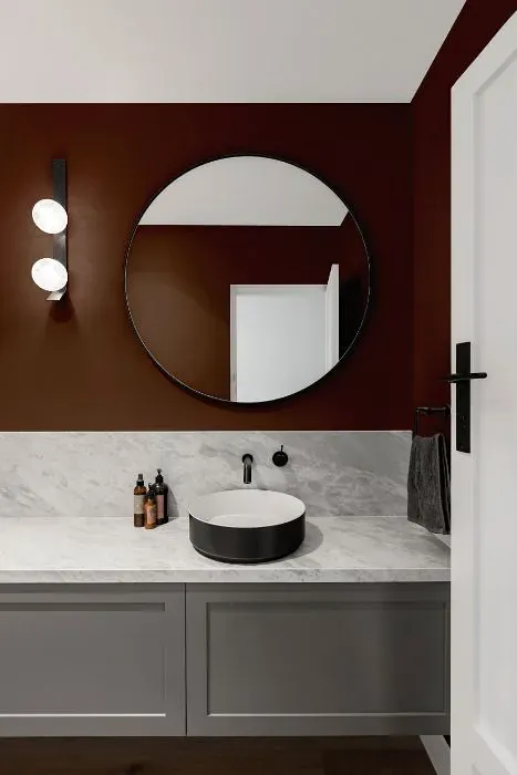 Sherwin Williams Fairfax Brown minimalist bathroom