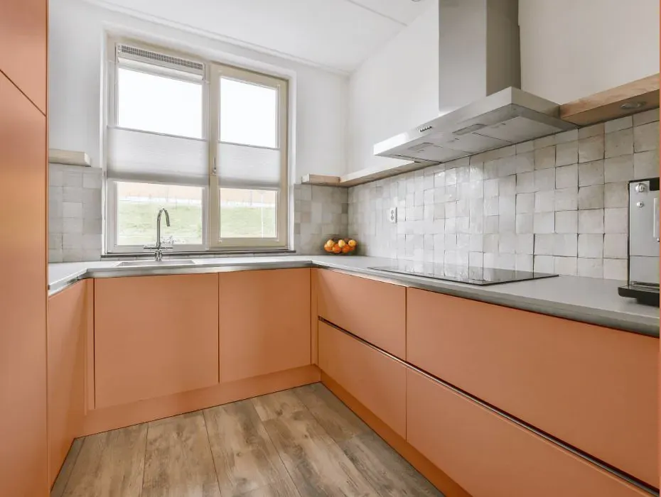 Sherwin Williams Fame Orange small kitchen cabinets