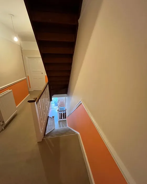 Dulux Fandango Fun hallway color