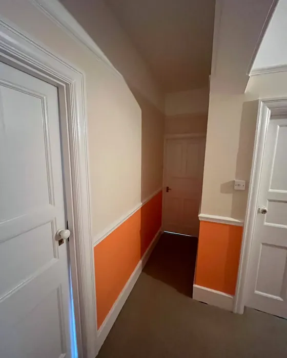 Dulux Fandango Fun hallway paint