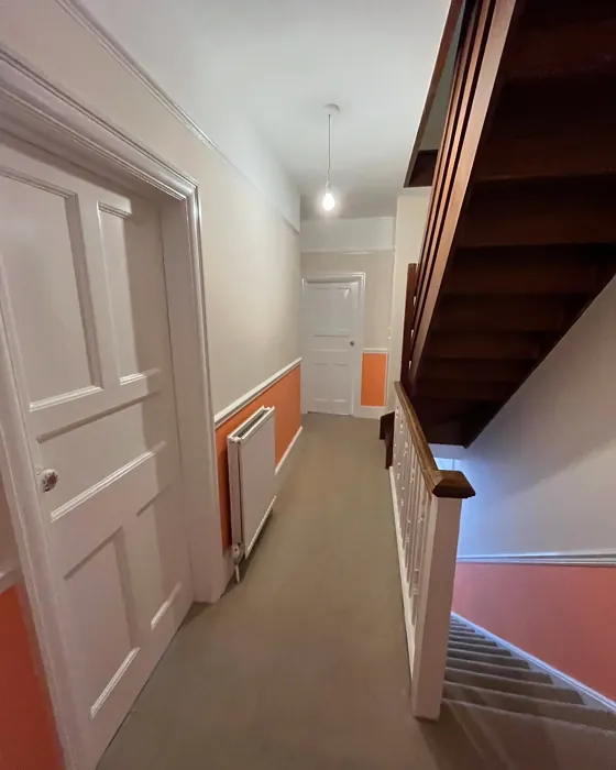 Dulux Fandango Fun hallway color review