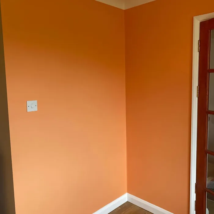 Dulux Fandango Fun wall paint review