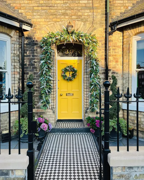 Farrow and Ball Babouche front door paint review