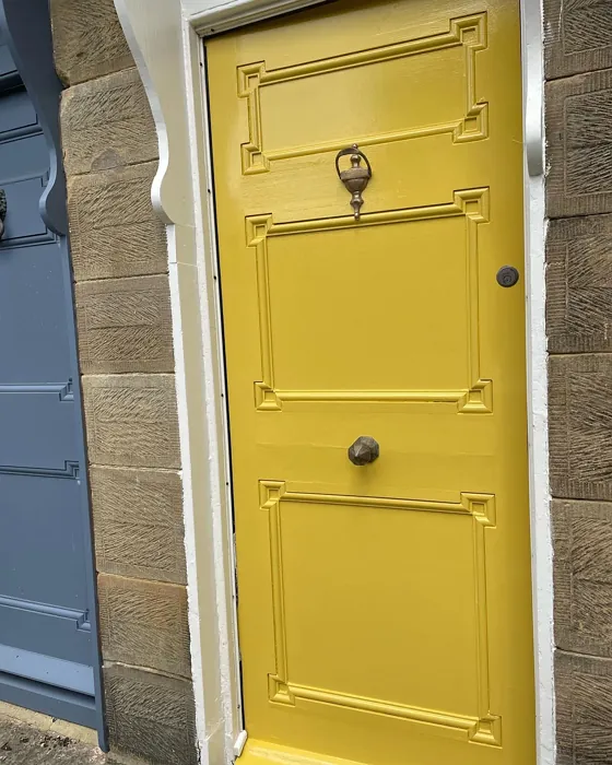 Farrow and Ball Babouche front door color review