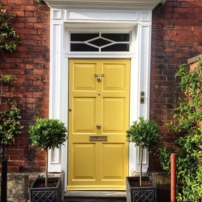 Farrow and Ball Babouche front door 