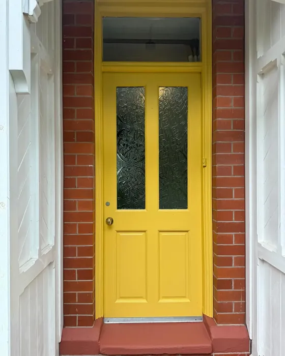 Farrow and Ball Babouche exterior paint review