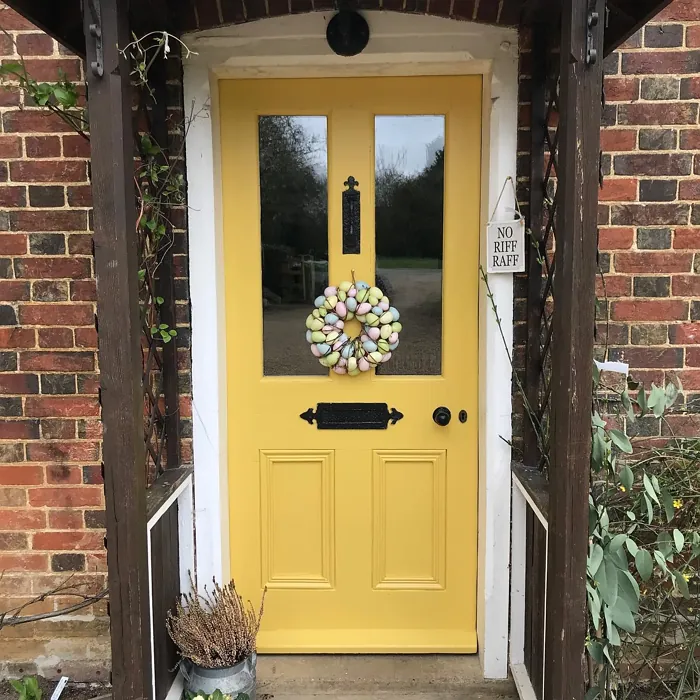 Farrow and Ball Babouche front door color