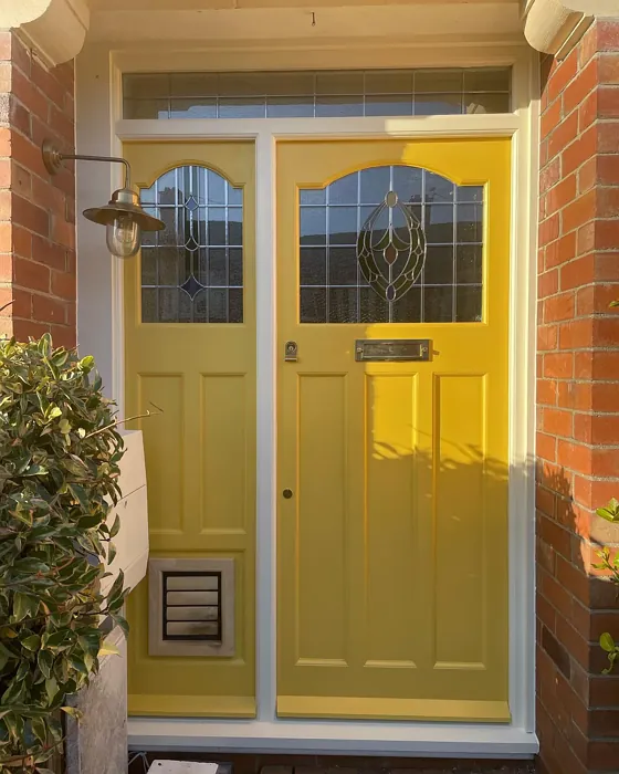 Farrow and Ball Babouche front door paint