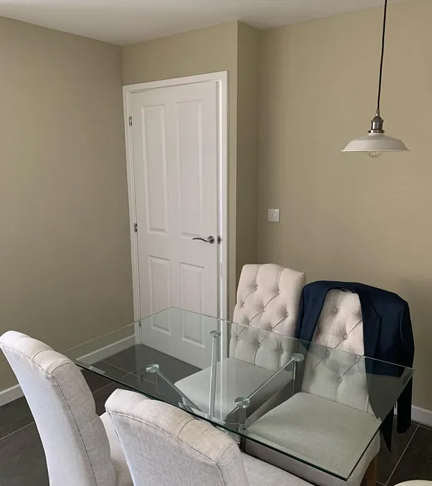 Farrow and Ball Bone kitchen color