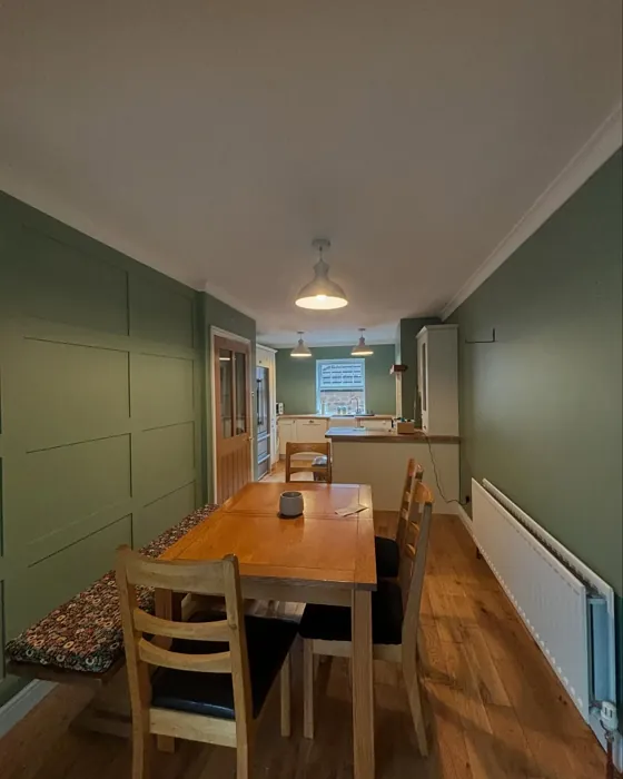 Farrow and Ball Breakfast Room Green dining room 