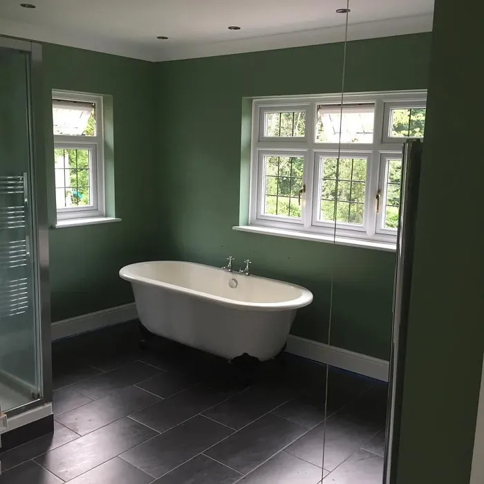 Breakfast Room Green bathroom interior