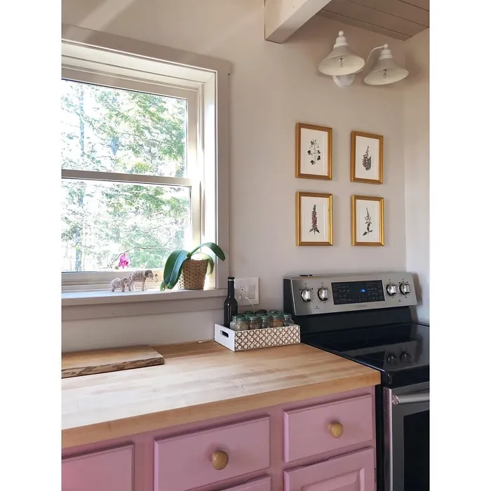 Farrow and Ball Cinder Rose kitchen cabinets paint Farrow and Ball Cinder Rose kitchen cabinets paint