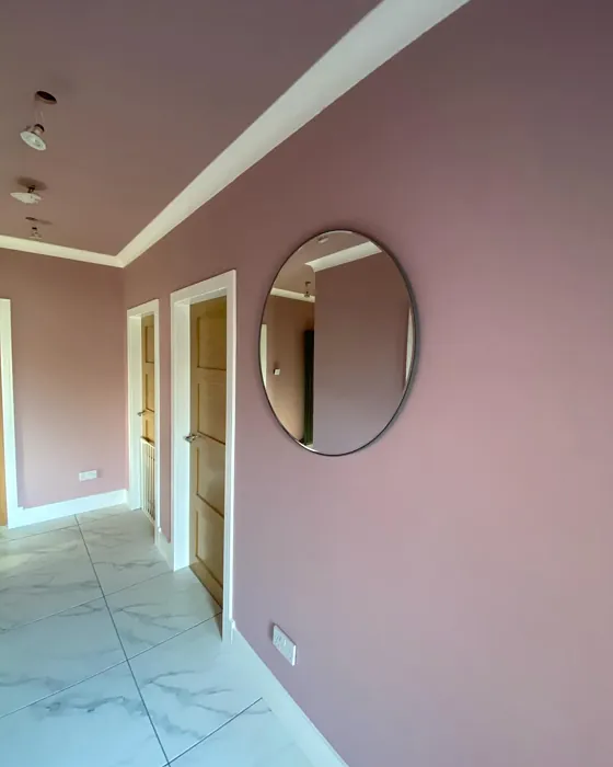 Cinder Rose hallway Cinder Rose hallway