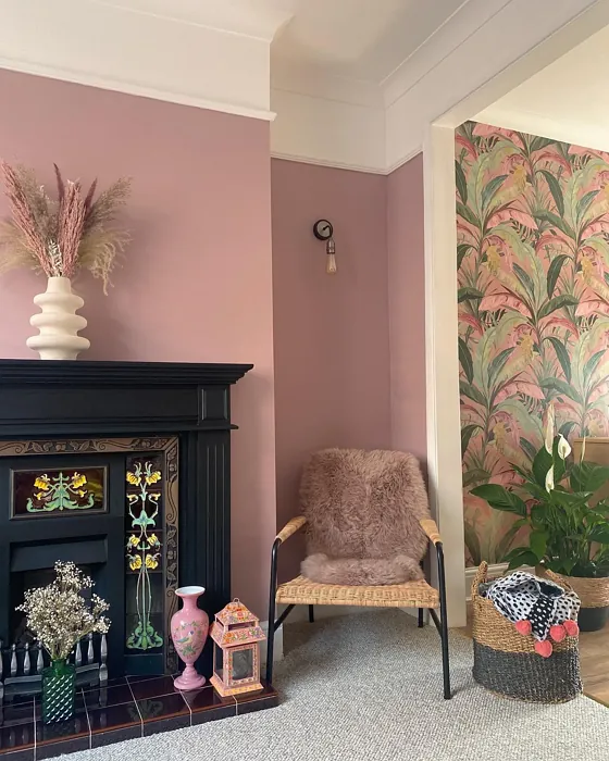 Farrow and Ball Cinder Rose modern living room color Farrow and Ball Cinder Rose modern living room color