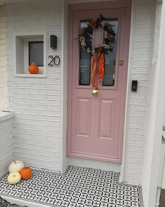 Cinder Rose modern front door review Cinder Rose modern front door review