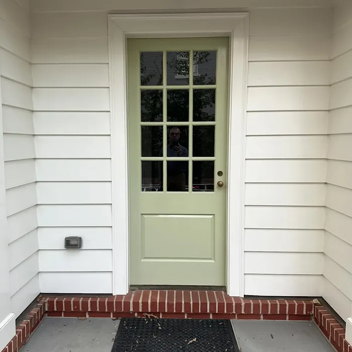 Cooking Apple Green front door paint