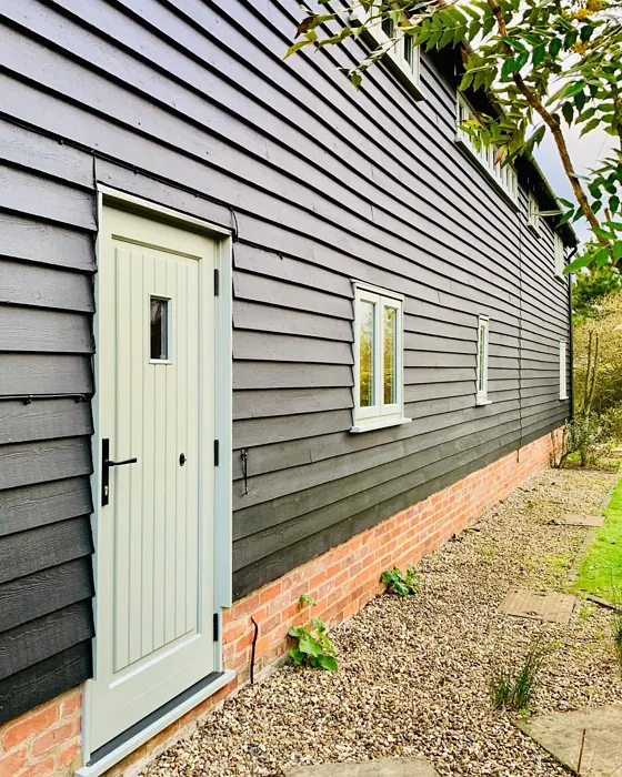 Cooking Apple Green front door color review