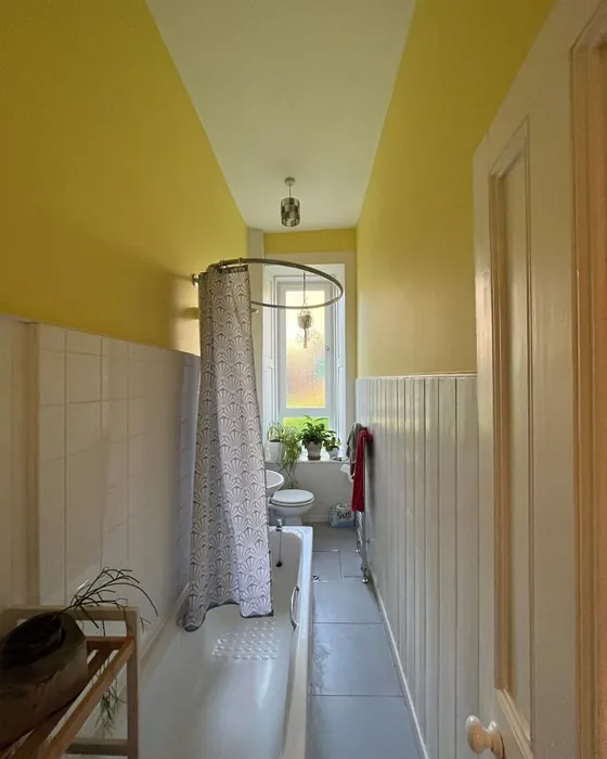 Farrow and Ball Dayroom Yellow 233 bathroom