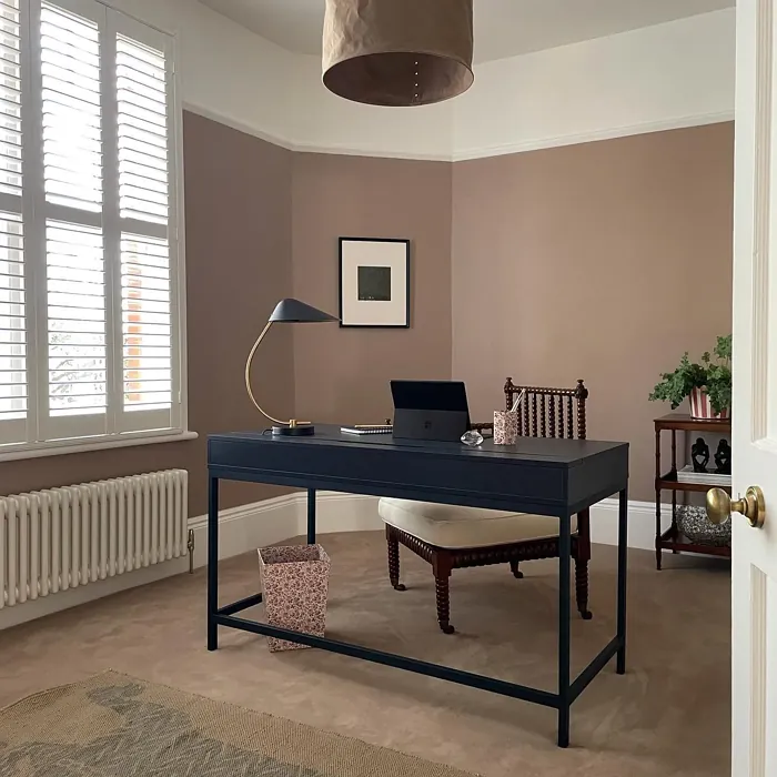 Farrow and Ball Dead Salmon home office paint review