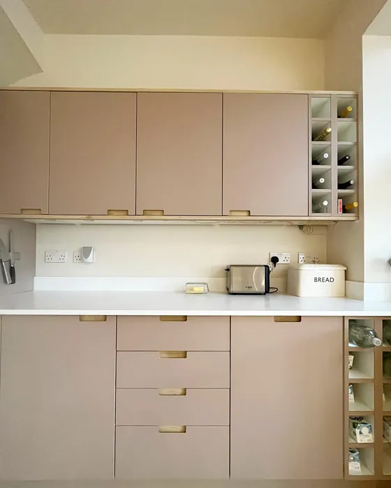 Farrow and Ball Dead Salmon kitchen cabinets color review