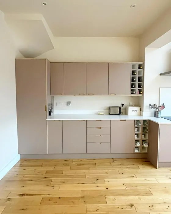 Farrow and Ball Dead Salmon kitchen cabinets review