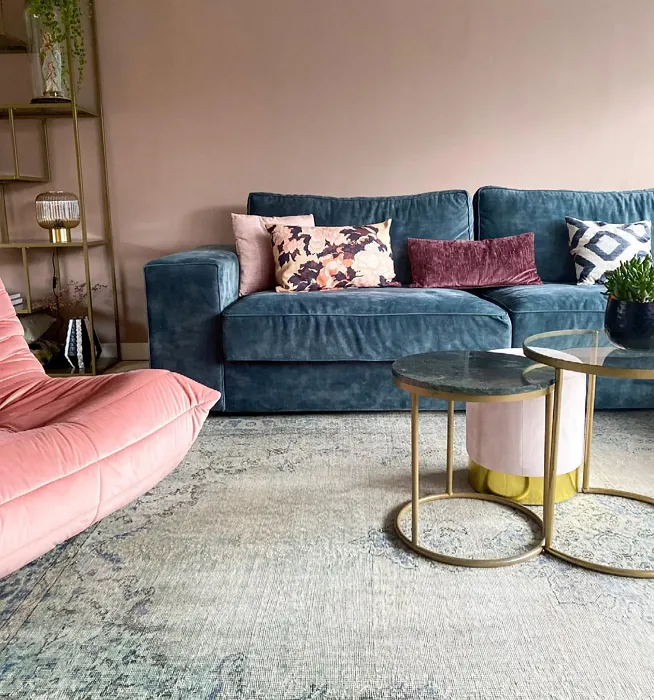 Farrow and Ball Dead Salmon modern living room color