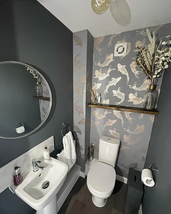 Farrow and Ball Down Pipe bathroom color review