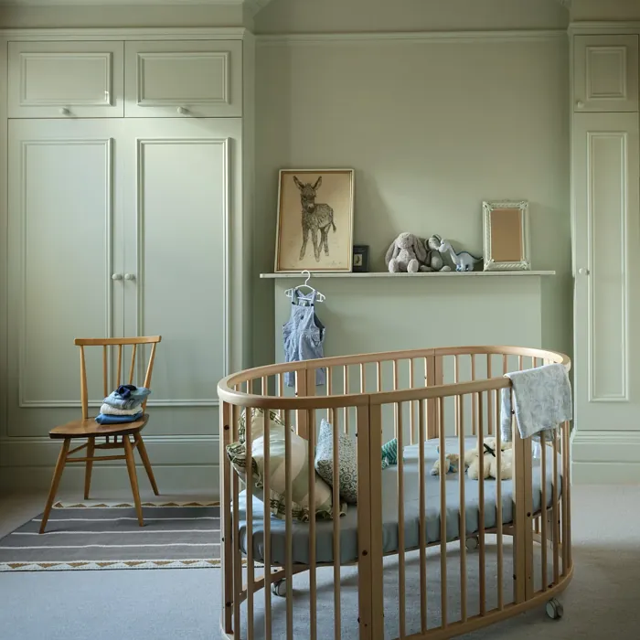 Farrow and Ball Eddy 301 nursery