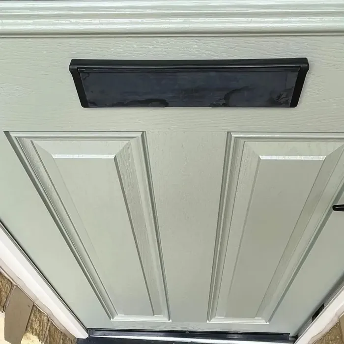 Farrow and Ball French Gray front door paint