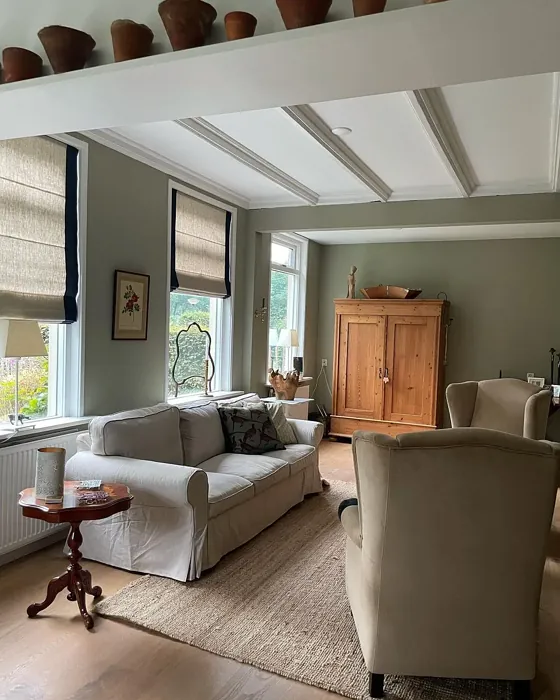Farrow and Ball French Gray living room paint review