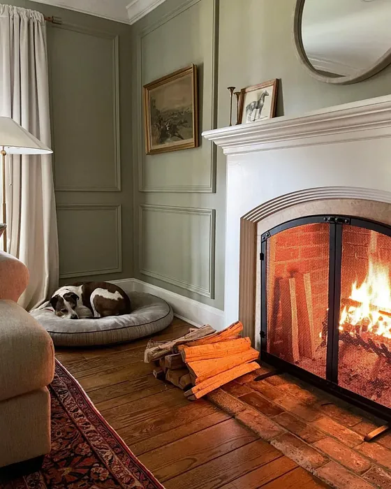 Farrow and Ball French Gray living room fireplace paint review