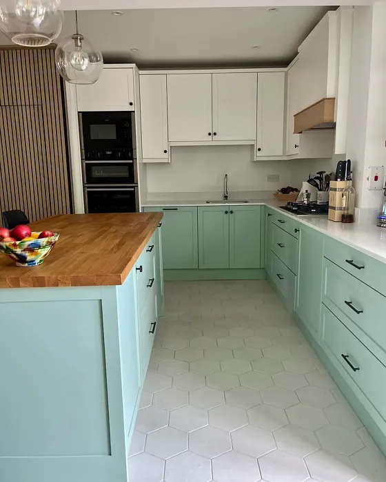 Farrow and Ball Green Blue kitchen cabinets paint