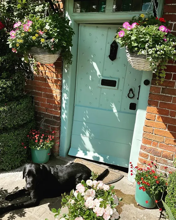 Green Blue front door color paint