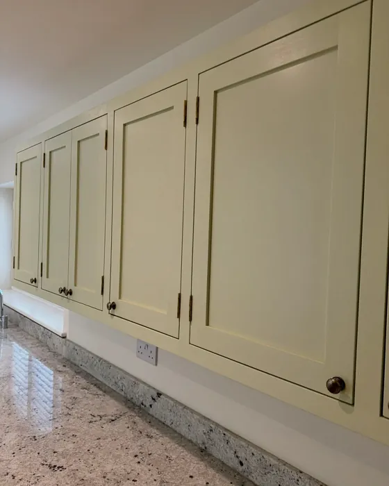 Farrow and Ball Green Ground kitchen cabinets 