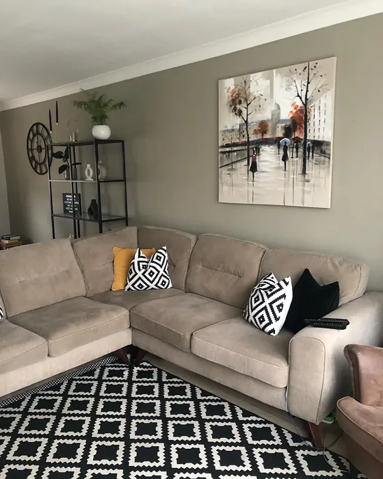 Light Gray scandinavian living room 