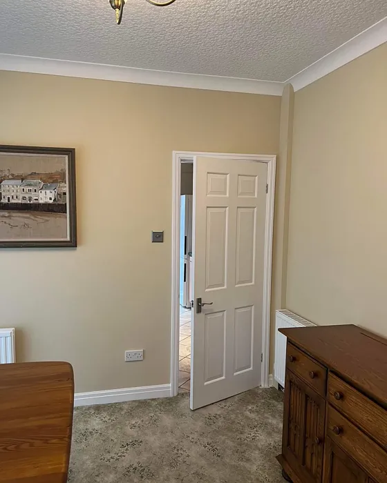 Farrow and Ball Matchstick dining room color review