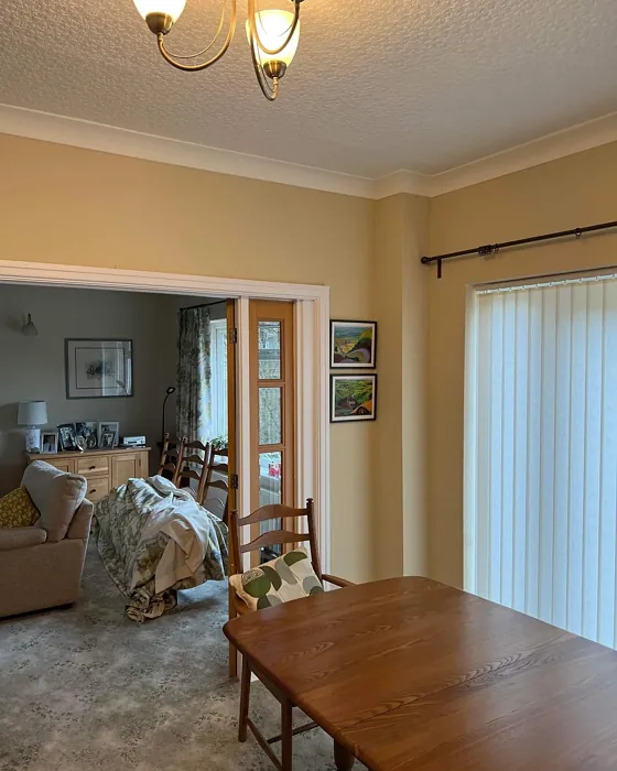 Matchstick dining room color review