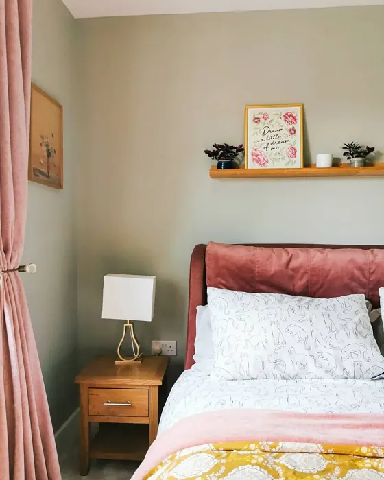 Mizzle bedroom color