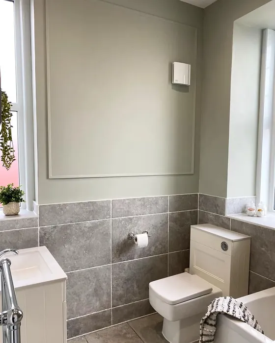 Mizzle bathroom color review