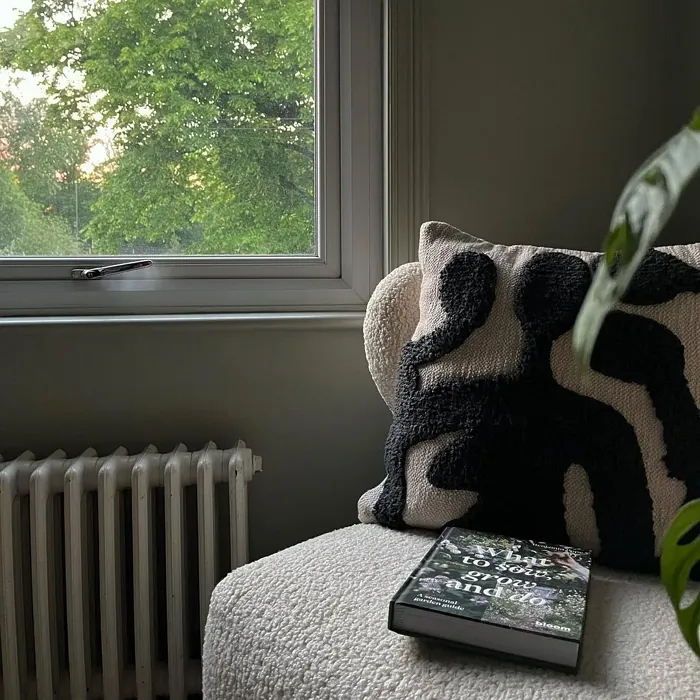Farrow and Ball Mizzle living room color review